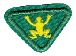 FA JCPA Schwimmer I
