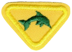 FA JCPA Schwimmer II