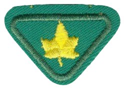 FA JCPA Bäume