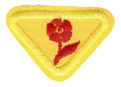 FA JCPA Blumen