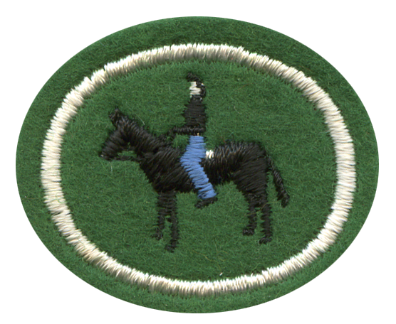 FA CPA Reiten