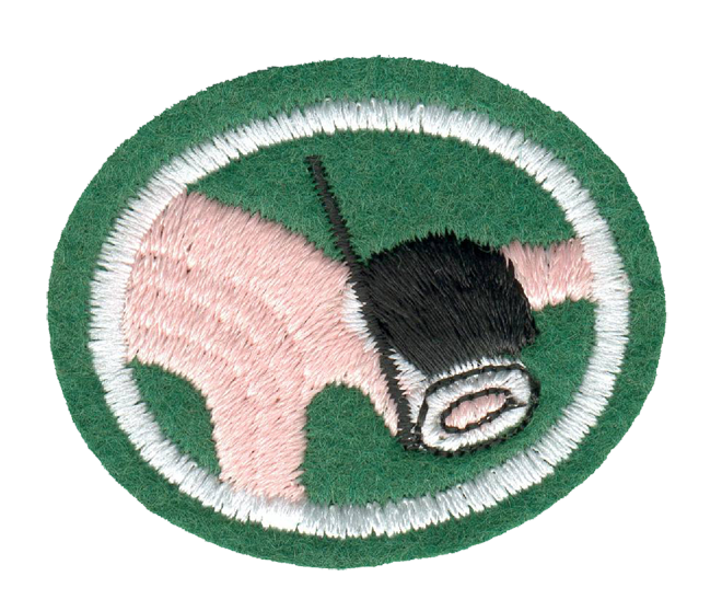 FA CPA Schnorcheln