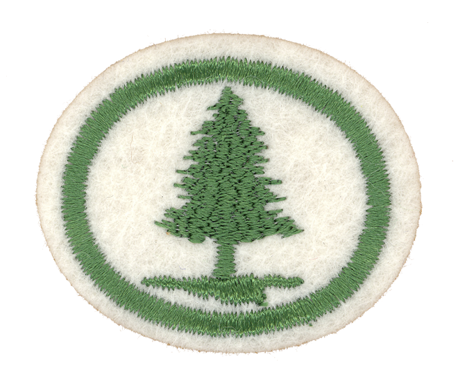 FA CPA Bäume