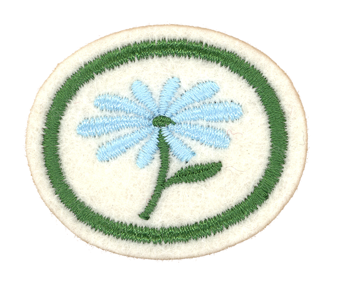FA CPA Blumen