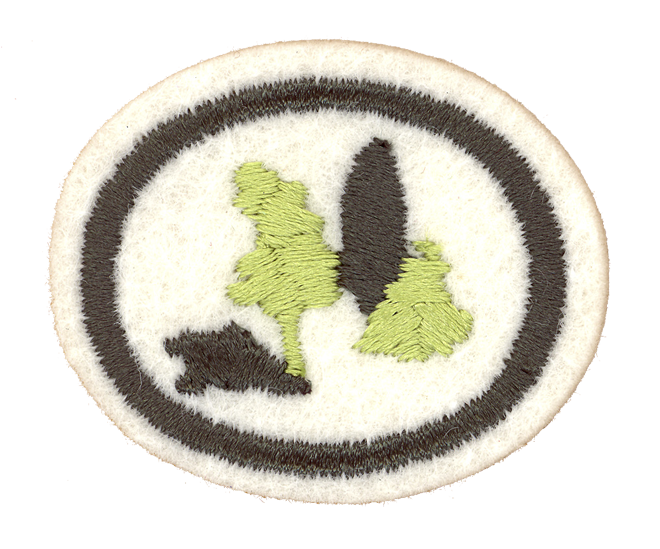 FA CPA Büsche