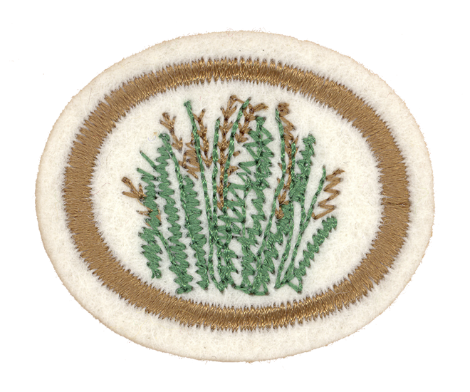 FA CPA Heilkräuter
