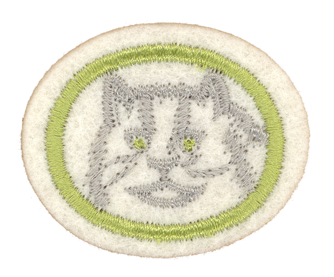 FA CPA Katzen