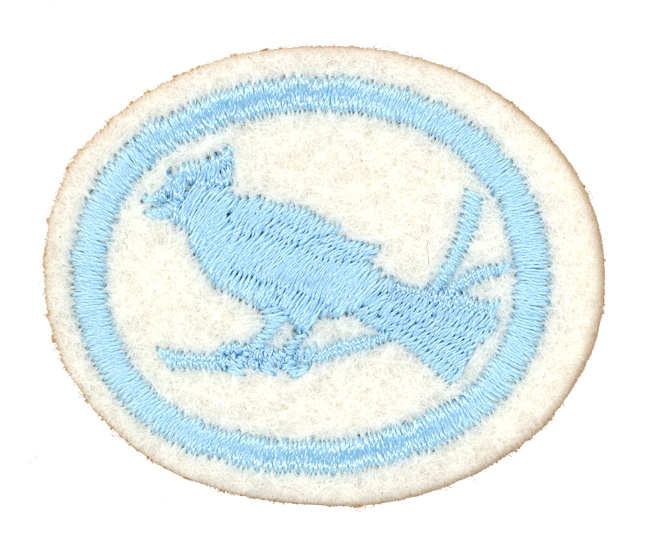 FA CPA Vögel