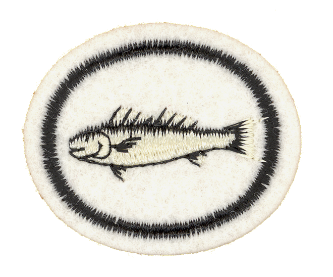 FA CPA Zierfische