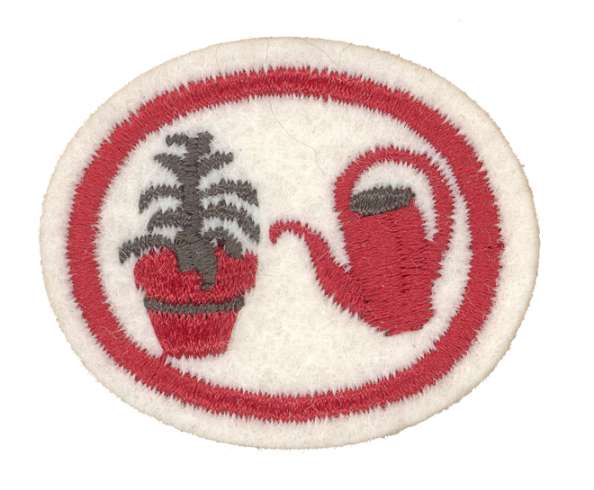 FA CPA Zimmerpflanzen