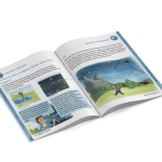 Handbuch für Ranger